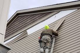 Best Aluminum Siding Installation  in Moore Haven, FL